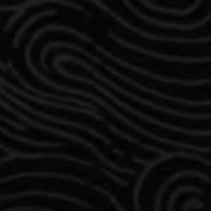 Meet your Posher, Noman